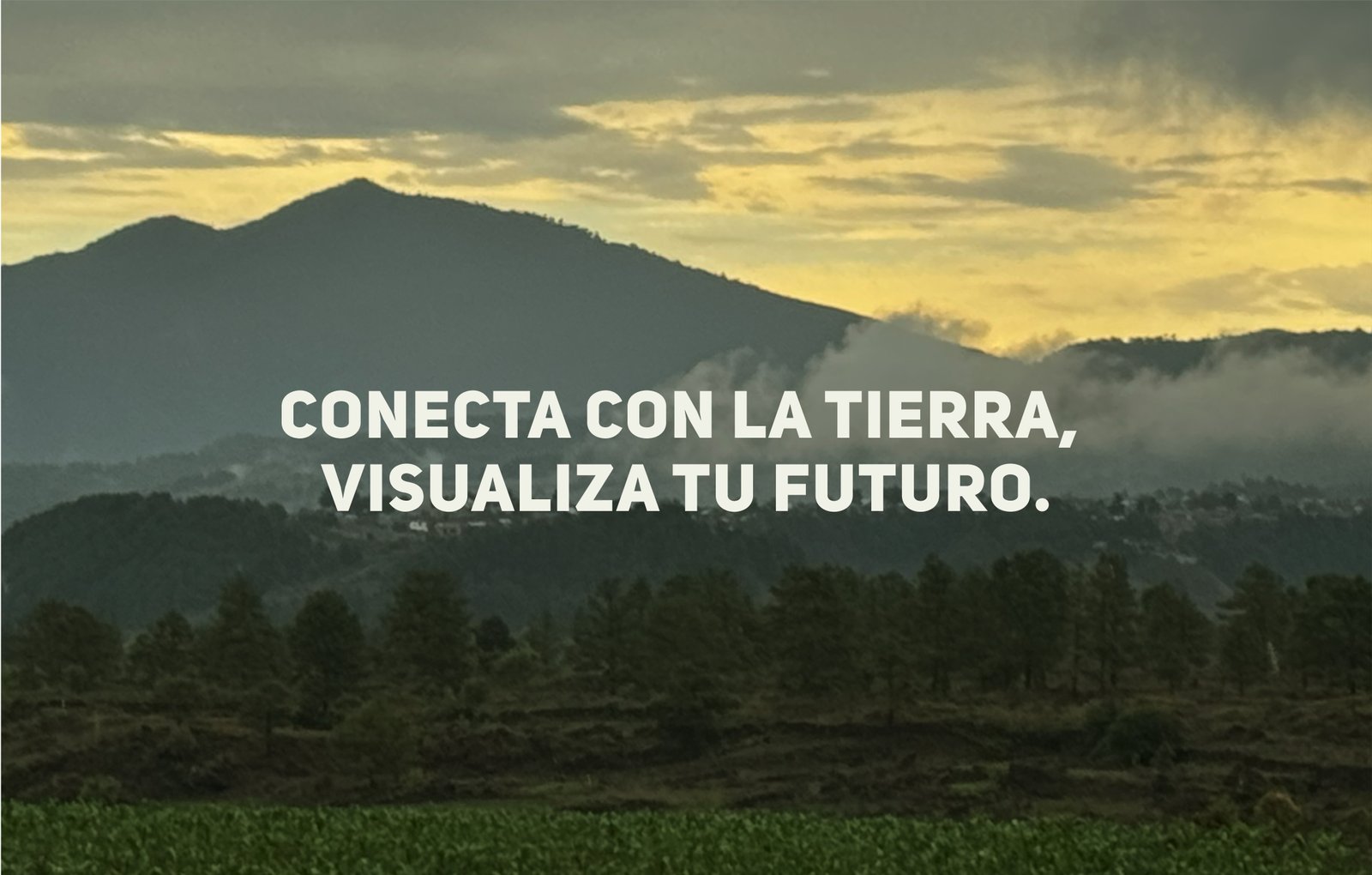 BANNER MONTAÑA